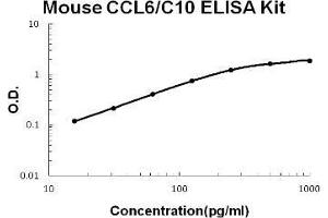 Mouse CCL6/C10 PicoKine ELISA Kit standard curve (CCL6 ELISA Kit)