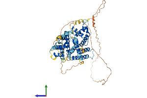 Protein Structure (PS) image for PARP1 Binding Protein (PARPBP) (AA 1-573) protein (His tag) (ABIN7557932)