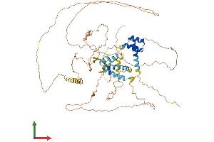 AlphaFold protein structure predicition of Human Recombinant POU6F2 Protein, UniprotID P78424 (POU6F2 Protein (AA 1-691) (His tag))