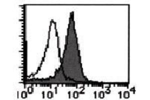 Flow Cytometry (FACS) image for anti-Poliovirus Receptor-Related 2 (Herpesvirus Entry Mediator B) (PVRL2) antibody (ABIN1449206) (PVRL2 antibody)