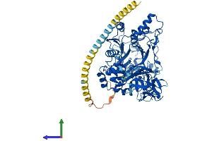 AlphaFold protein structure predicition of Human Recombinant GALNT3 Protein, UniprotID Q14435