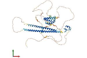 Protein Structure (PS) image for Core-binding Factor, Runt Domain, alpha Subunit 2, Translocated To, 2 (CBFA2T2) (AA 1-604) protein (His tag) (ABIN7554633)
