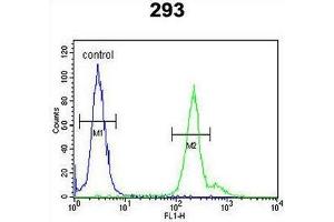 GPM6A Antibody (C-term) flow cytometric analysis of 293 cells (right histogram) compared to a negative control cell (left histogram). (GPM6A antibody  (C-Term))