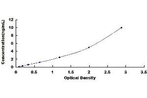 Typical standard curve (BRCC3 ELISA Kit)