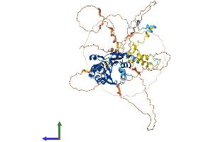 Protein Structure (PS) image for Methylphosphate Capping Enzyme (MEPCE) (AA 1-666) protein (His tag) (ABIN7559544)