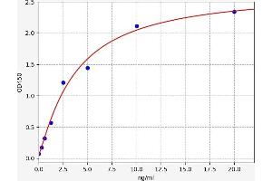 Typical standard curve (NOS2 ELISA Kit)