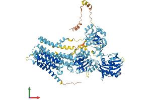 AlphaFold protein structure predicition of Mouse Recombinant Atp2c2 Protein, UniprotID A7L9Z8