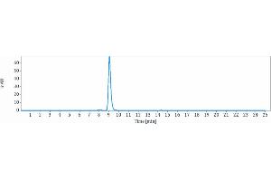 The purity of protein, determined by HPLC, is greater than 95 % .