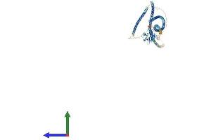 AlphaFold protein structure predicition of Human Recombinant SLMAP Protein, UniprotID Q14BN4 (SLMAP Protein (AA 1-828) (His tag))