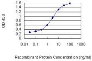 Detection limit for recombinant GST tagged SMPDL3B is 0. (SMPDL3B antibody  (AA 274-372))