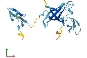Protein Structure (PS) image for Exosome Component 1 (EXOSC1) (AA 1-195) protein (His tag) (ABIN7565000)