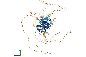 AlphaFold protein structure predicition of Mouse Recombinant Med25 Protein, UniprotID Q8VCB2 (MED25 Protein (AA 1-745) (His tag))