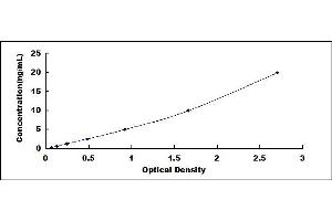 Typical standard curve (VDAC1 ELISA Kit)