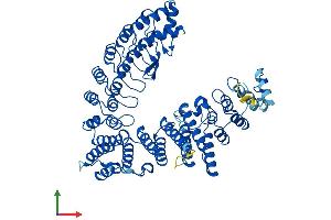 AlphaFold protein structure predicition of Mouse Recombinant Fem1c Protein, UniprotID Q8CEF1