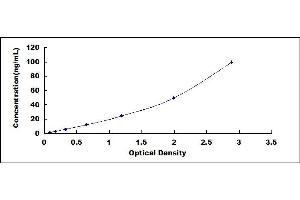 SEMA4D/CD100 ELISA Kit