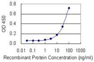 Detection limit for recombinant GST tagged EIF2C2 is 1 ng/ml as a capture antibody. (AGO2 antibody  (AA 1-377))