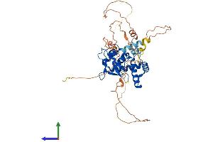 Protein Structure (PS) image for Nuclear Factor I/C (CCAAT-Binding Transcription Factor) (NFIC) (AA 1-439) protein (His tag) (ABIN7556678)