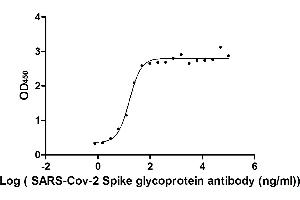 The Binding Activity of SARS-CoV-2-S Antibody with SARS-CoV-2-S1-RBD. (Recombinant SARS-CoV-2 Spike S1 antibody)