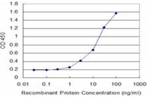 Detection limit for recombinant GST tagged DCK is approximately 1ng/ml as a capture antibody. (DCK antibody  (AA 161-260))