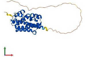 AlphaFold protein structure predicition of Human Recombinant HMOX1 Protein, UniprotID P09601 (HMOX1 Protein (AA 1-288) (His tag))
