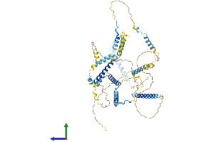 AlphaFold protein structure predicition of Human Recombinant FAM161A Protein, UniprotID Q3B820
