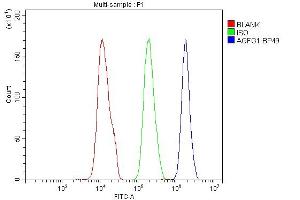 Flow Cytometry analysis of SiHa cells using anti-AGFG1 antibody (ABIN3043530).