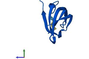 AlphaFold protein structure predicition of Mouse Recombinant Snrpg Protein, UniprotID P62309 (SNRPG Protein (AA 1-76) (Fc Tag))