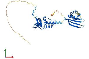 AlphaFold protein structure predicition of Human Recombinant KCTD15 Protein, UniprotID Q96SI1 (KCTD15 Protein (AA 1-283) (His tag))