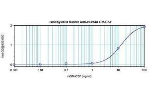 Image no. 1 for anti-Colony Stimulating Factor 2 (Granulocyte-Macrophage) (CSF2) antibody (Biotin) (ABIN465666) (GM-CSF antibody  (Biotin))