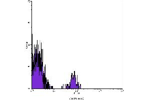 Flow Cytometry (FACS) image for anti-CD19 Molecule (CD19) antibody (FITC) (ABIN2144528) (CD19 antibody  (FITC))