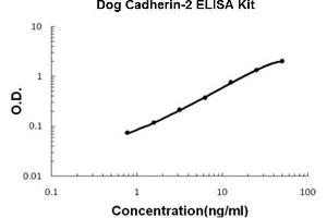 Dog Cadherin-2/N-Cadherin PicoKine ELISA Kit standard curve (N-Cadherin ELISA Kit)