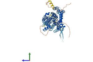 AlphaFold protein structure predicition of Mouse Recombinant Slc1a4 Protein, UniprotID O35874 (SLC1A4 Protein (AA 1-532) (His tag))