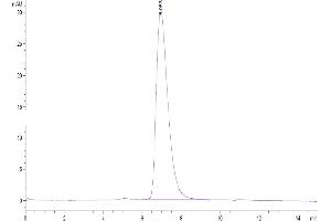 Size-exclusion chromatography-High Pressure Liquid Chromatography (SEC-HPLC) image for Tumor Necrosis Factor Receptor Superfamily, Member 1B (TNFRSF1B) (AA 23-257) protein (His tag) (ABIN7275760)