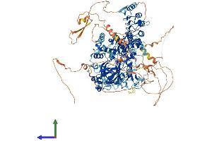 AlphaFold protein structure predicition of Mouse Recombinant Kdm2a Protein, UniprotID P59997 (KDM2A Protein (AA 1-1161) (His tag))