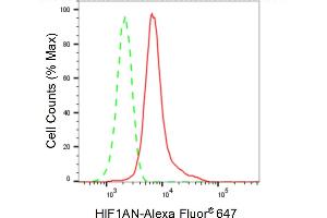 Flow cytometric analysis of HIF1AN expression in HeLa cells using HIF1AN antibody (ABIN7799018), 1:2,000). (Recombinant HIF1AN antibody)