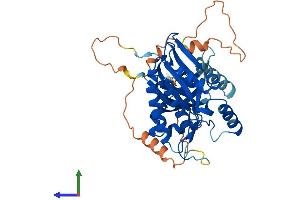 AlphaFold protein structure predicition of Mouse Recombinant Ip6k3 Protein, UniprotID Q8BWD2 (IP6K3 Protein (AA 1-396) (His tag))