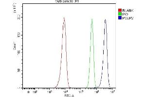 Flow Cytometry analysis of Hela cells using anti-hnRNP E2/PCBP2 antibody (ABIN7599983). (PCBP2 antibody  (AA 136-276))