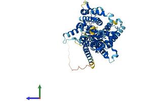 Protein Structure (PS) image for Phosphatidylinositol Glycan Anchor Biosynthesis, Class Z (PIGZ) (AA 1-579) protein (His tag) (ABIN7555020)