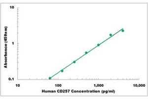 Representative Standard Curve