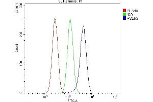 Flow Cytometry analysis of U87 cells using anti-Presenilin 2/AD5/PSEN2 antibody (ABIN7602796). (Presenilin 2 antibody  (C-Term))