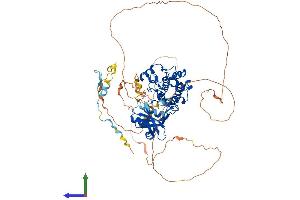 AlphaFold protein structure predicition of Mouse Recombinant Pak6 Protein, UniprotID Q3ULB5 (PAK6 Protein (AA 1-682) (His tag))