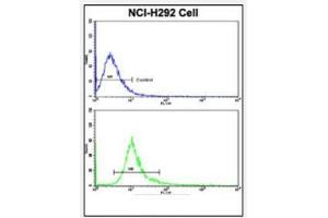 Flow Cytometric analysis of NCI-H292 cells using DCXR Antibody (Center) Cat. (DCXR antibody  (Middle Region))