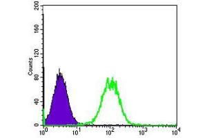 Flow Cytometry (FACS) image for anti-Mitogen-Activated Protein Kinase Kinase Kinase 5 (MAP3K5) antibody (ABIN969273)