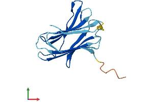 AlphaFold protein structure predicition of Human Recombinant GRIFIN Protein, UniprotID A4D1Z8