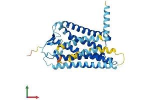 AlphaFold protein structure predicition of Human Recombinant OR5B17 Protein, UniprotID Q8NGF7 (OR5B17 Protein (AA 1-314) (His tag))