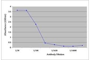 Image no. 1 for anti-Tumor Necrosis Factor alpha (TNF alpha) antibody (ABIN217631) (TNF alpha antibody)