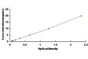 Typical Standard Curve (NEU1 ELISA Kit)