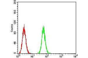 Flow cytometric analysis of Hela cells using P2RY13 mouse mAb (green) and negative control (red).