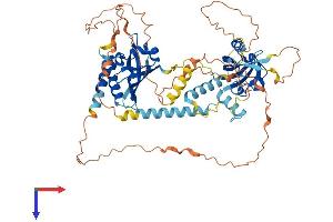 AlphaFold protein structure predicition of Mouse Recombinant Bmal2 Protein, UniprotID Q2VPD4 (ARNTL2 Protein (AA 1-579) (His tag))