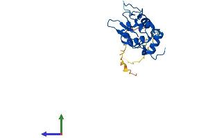Protein Structure (PS) image for Sperm Acrosome Associated Protein 3 (SPACA3) (AA 1-215) protein (His tag) (ABIN7545956)